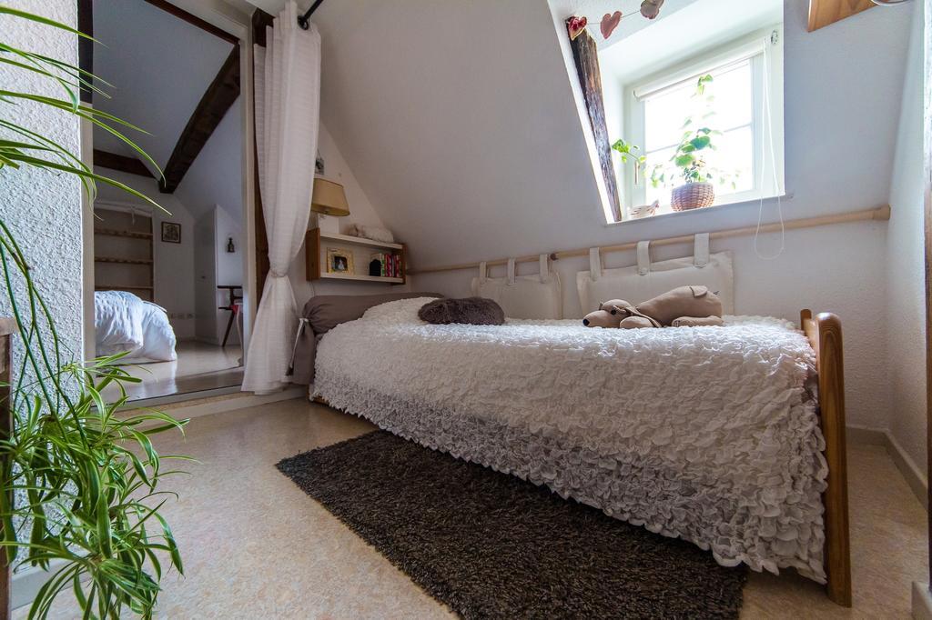 Gite L'Ame D'Antan Colmar Dış mekan fotoğraf
